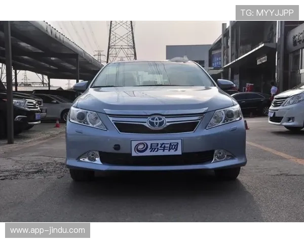 HG平台：比较分析：HG平台与其他主流交易平台的优势与不足